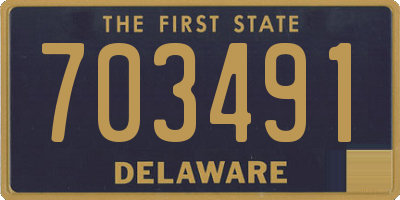 DE license plate 703491