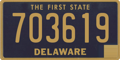 DE license plate 703619