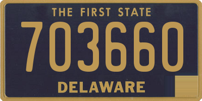 DE license plate 703660