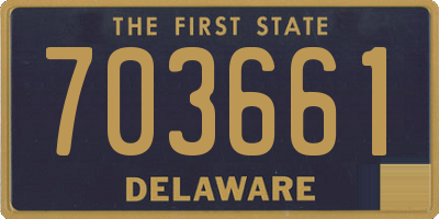 DE license plate 703661