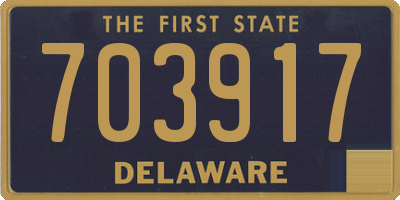 DE license plate 703917