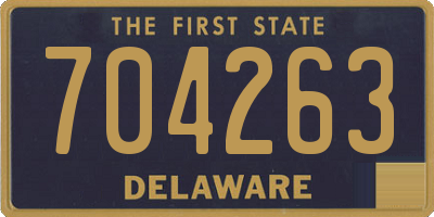 DE license plate 704263