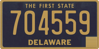 DE license plate 704559