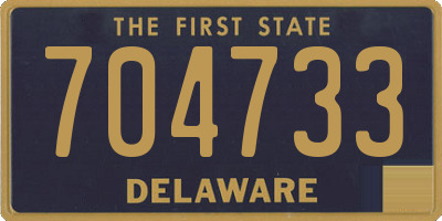 DE license plate 704733