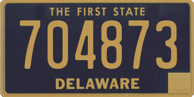DE license plate 704873