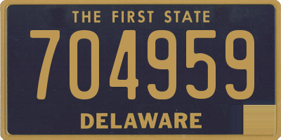 DE license plate 704959