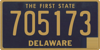 DE license plate 705173
