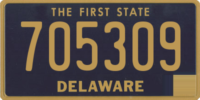 DE license plate 705309