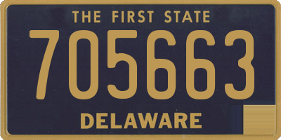 DE license plate 705663