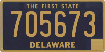 DE license plate 705673