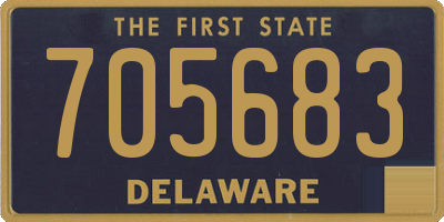 DE license plate 705683