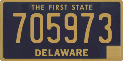 DE license plate 705973