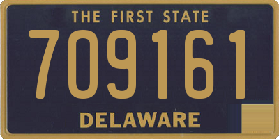 DE license plate 709161