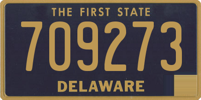 DE license plate 709273