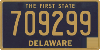 DE license plate 709299
