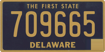 DE license plate 709665
