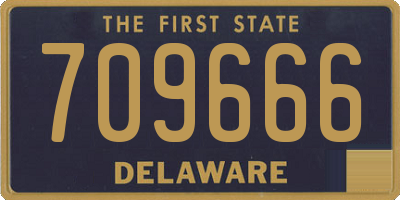DE license plate 709666
