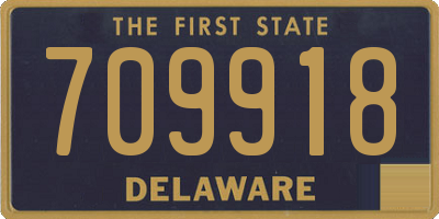 DE license plate 709918