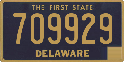 DE license plate 709929