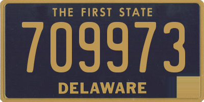 DE license plate 709973