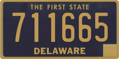 DE license plate 711665