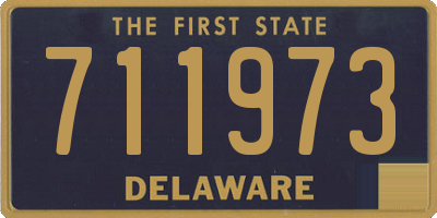 DE license plate 711973