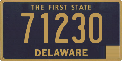 DE license plate 71230