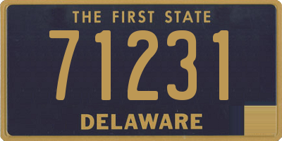 DE license plate 71231