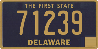 DE license plate 71239