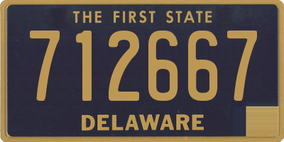 DE license plate 712667