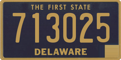 DE license plate 713025