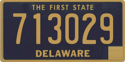 DE license plate 713029
