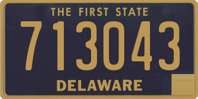 DE license plate 713043