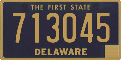 DE license plate 713045