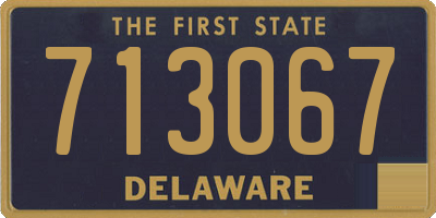 DE license plate 713067