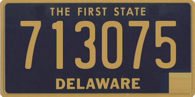 DE license plate 713075