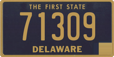 DE license plate 71309