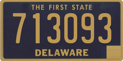 DE license plate 713093