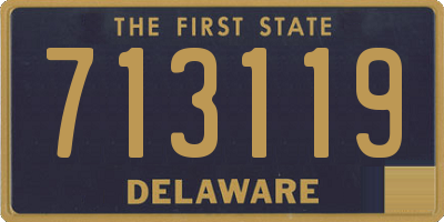 DE license plate 713119