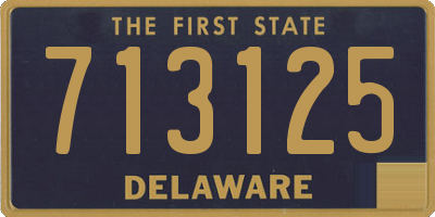DE license plate 713125