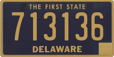 DE license plate 713136