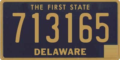 DE license plate 713165