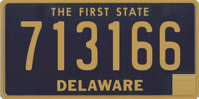 DE license plate 713166