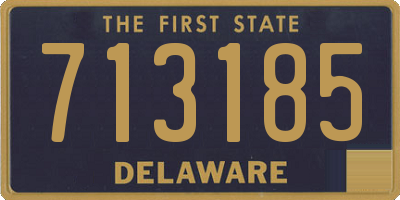 DE license plate 713185