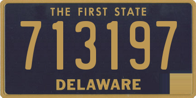 DE license plate 713197