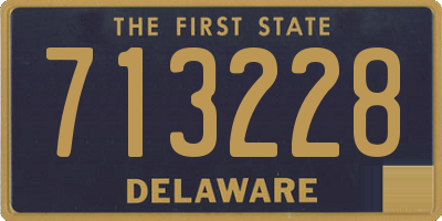 DE license plate 713228