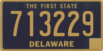 DE license plate 713229