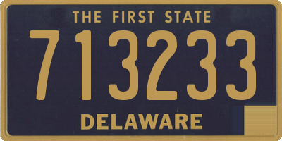 DE license plate 713233