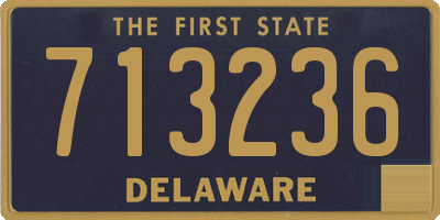 DE license plate 713236