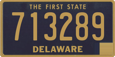 DE license plate 713289